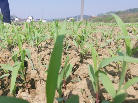 圖片2.jpg 圖片2.jpg